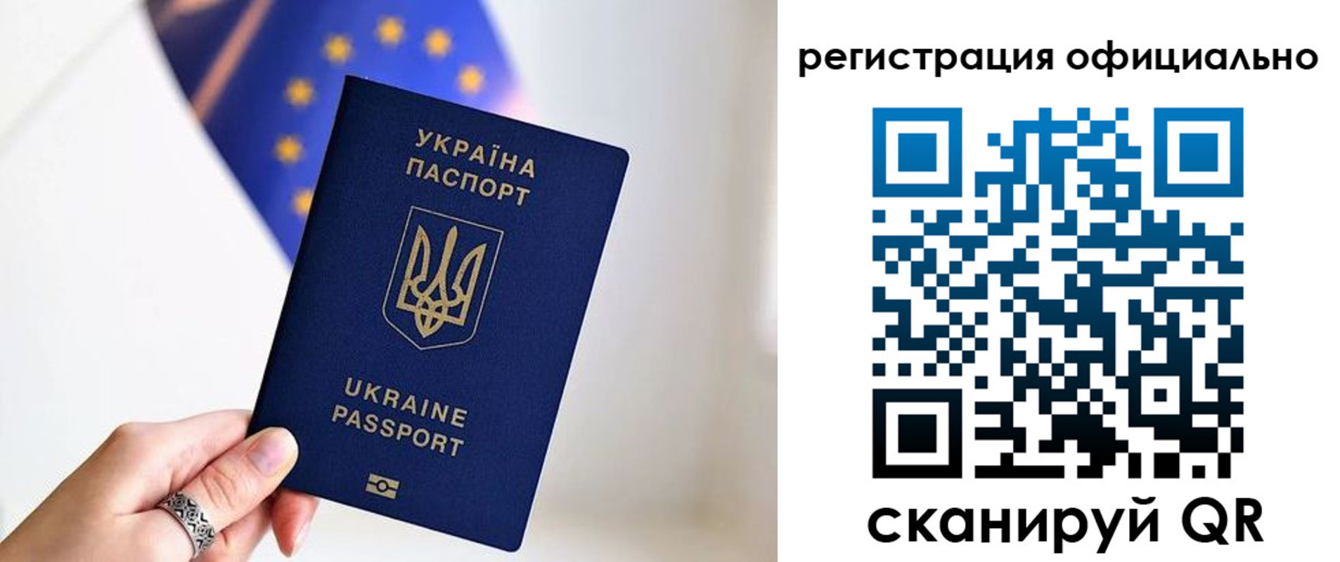 прописка для школы в Мончегорске